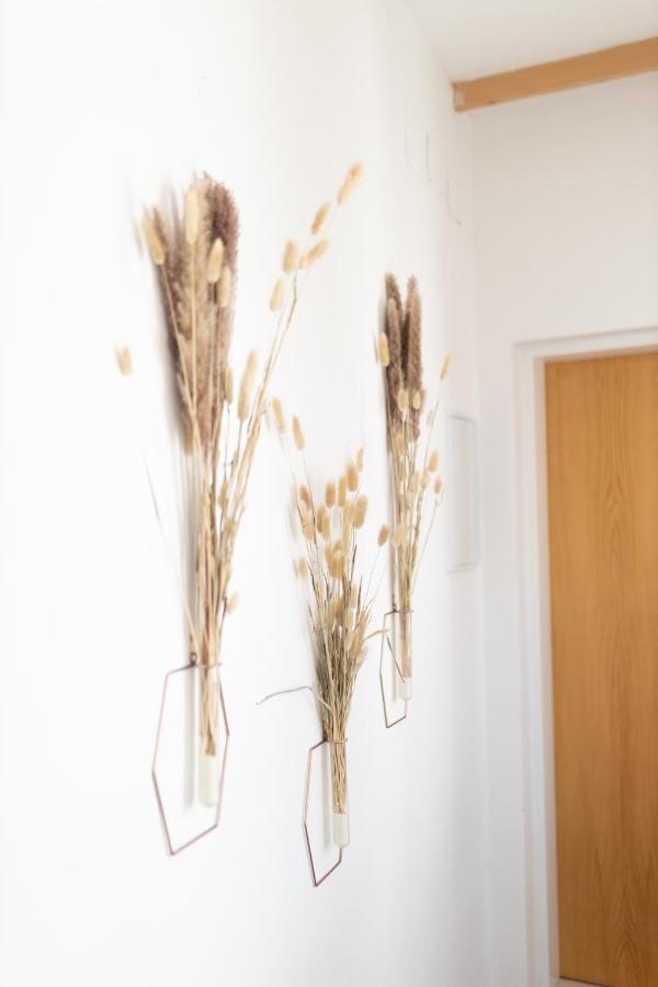 Apartman V Srdci Znojma „Jako Doma“ Znojmo Buitenkant foto